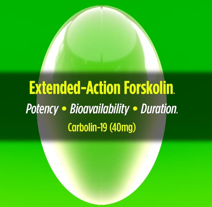 Carbolin 19