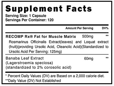 Recomp Rx