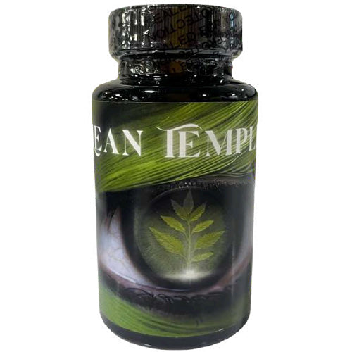LEAN TEMPLE
