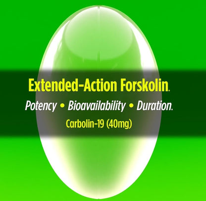 Carbolin 19
